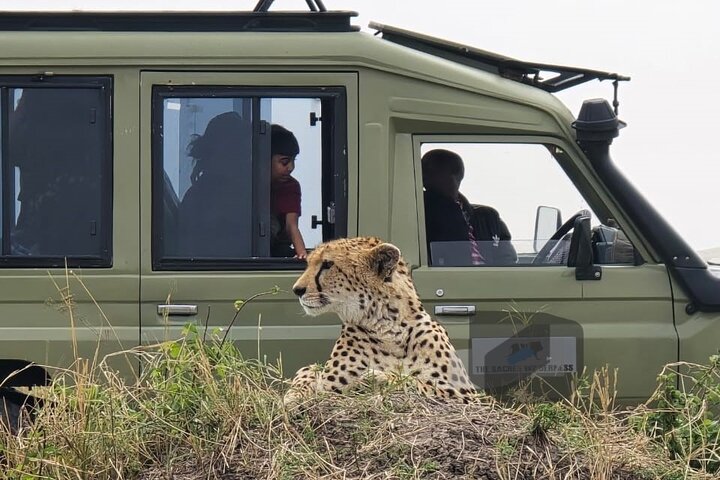 3 Days Masai Mara Budget Private Safari