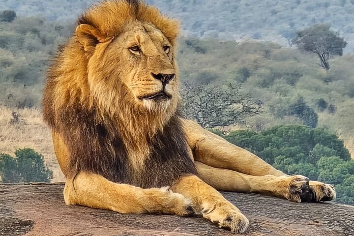 3 Days Masai Mara Budget Private Safari
