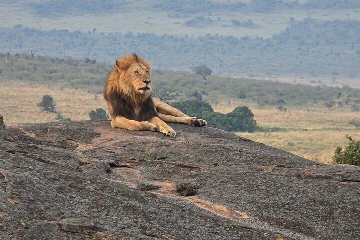 3 Days Masai Mara Budget Private Safari