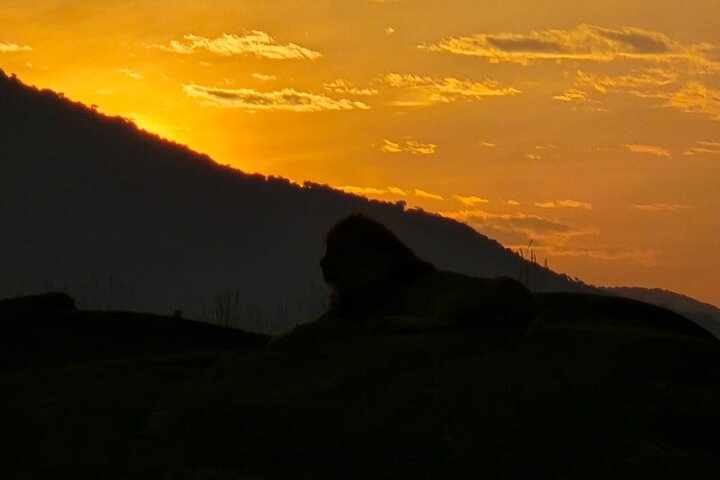 3 Days Masai Mara Budget Private Safari