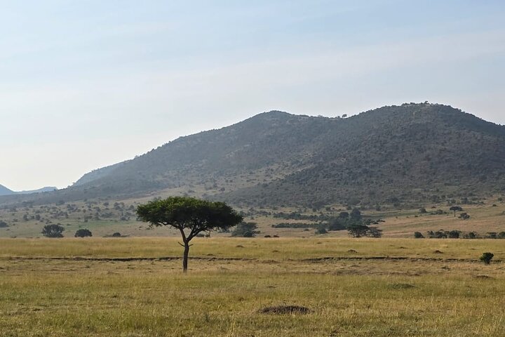 3 Days Masai Mara Budget Private Safari