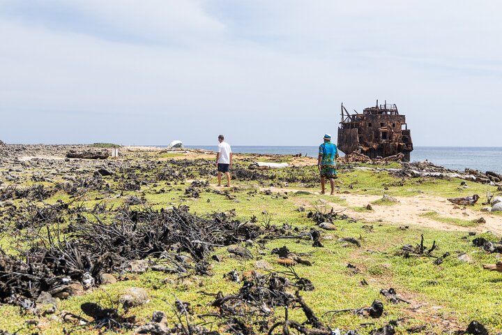 Klein Curacao Day Trip with Premium Open Bar and BBQ-Lunch