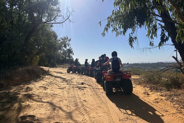 Hammamet : Quad adventure through the hills