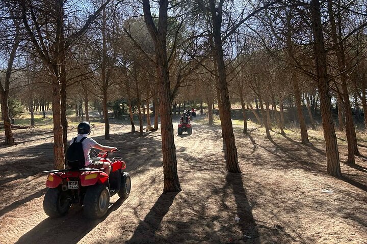 Hammamet : Quad adventure through the hills