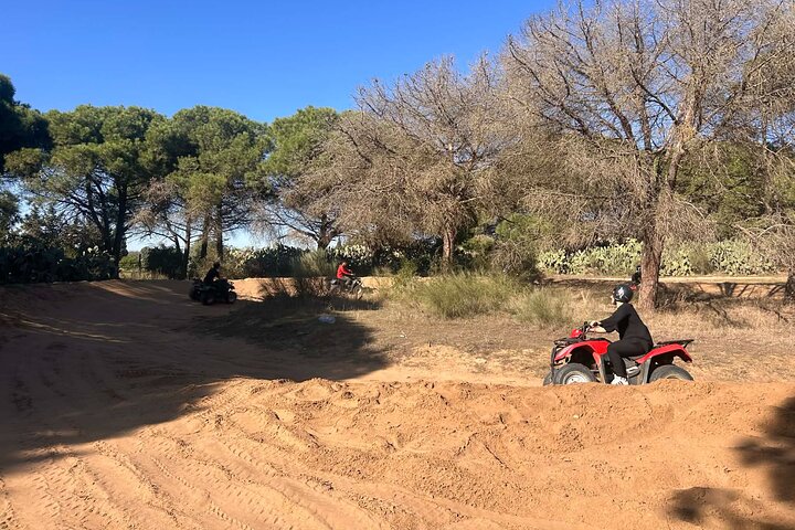 Hammamet : Quad adventure through the hills