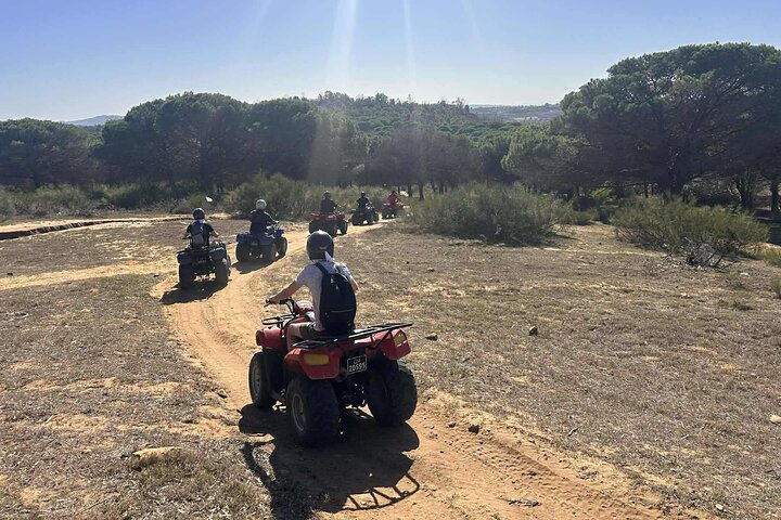 Hammamet : Quad adventure through the hills