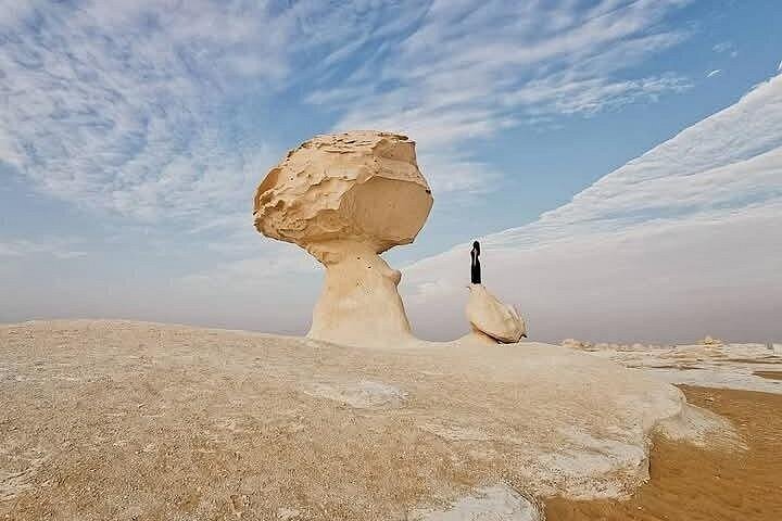 2-Day Bahariya Oasis White and Black Overnight Camping Jeep Tour