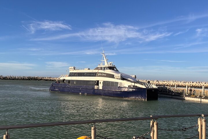 CapeTown Robben Island Tour |Flexible Options &Pre-Booked Tickets