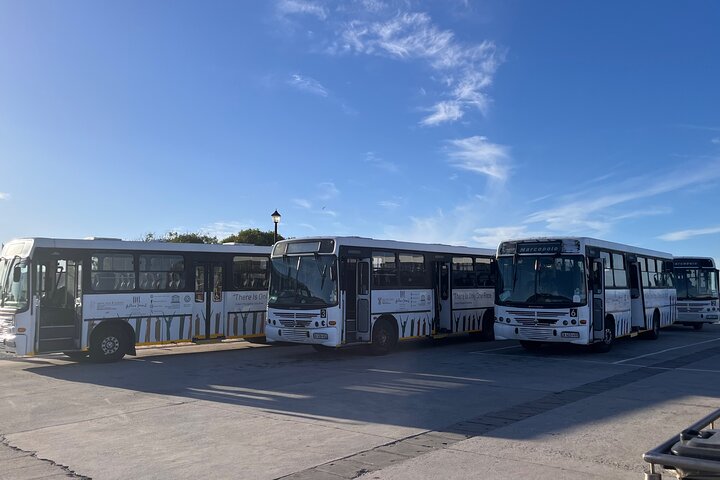 CapeTown Robben Island Tour |Flexible Options &Pre-Booked Tickets