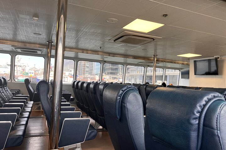 CapeTown Robben Island Tour |Flexible Options &Pre-Booked Tickets
