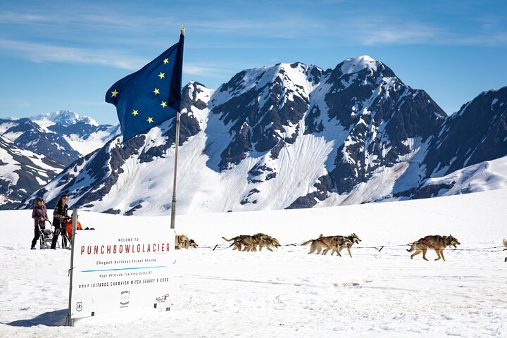 Anchorage Helicopter Glacier Dogsledding Tour