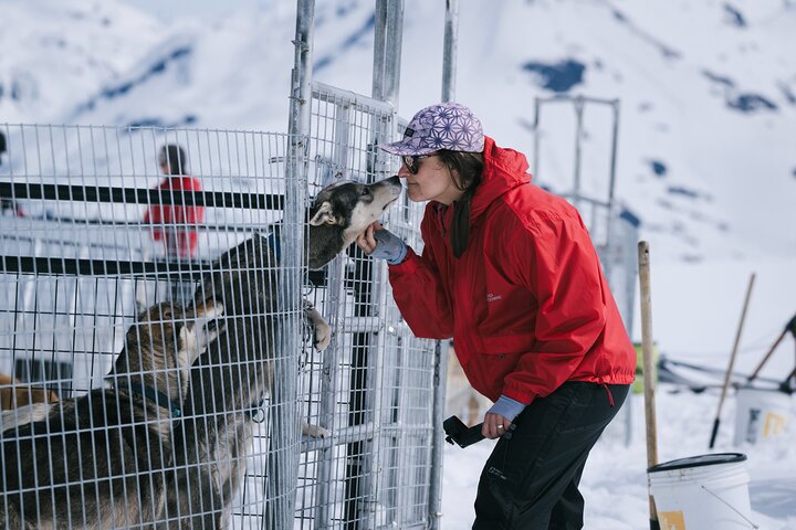 Anchorage Helicopter Glacier Dogsledding Tour