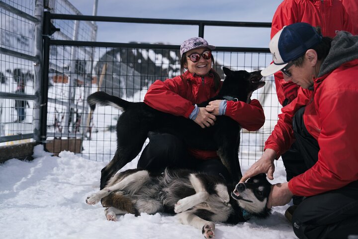 Anchorage Helicopter Glacier Dogsledding Tour