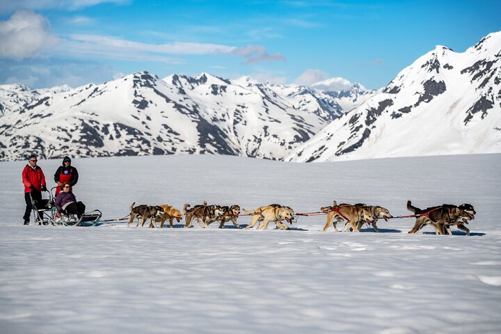 Anchorage Helicopter Glacier Dogsledding Tour