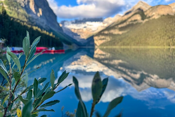 Moraine Lake Sunrise(2.5hrs)&Lake Louise(2hrs) from Canmore/Banff