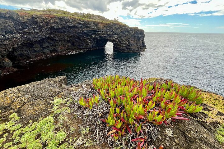 Horta, Faial: 1 Day Tour with Capelinhos, Caldeira and Local Guide