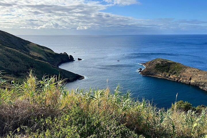 Horta, Faial: 1 Day Tour with Capelinhos, Caldeira and Local Guide