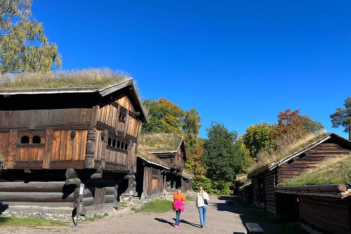 Oslo Combo Tour: Grand City Tour and Oslo Fjord Cruise