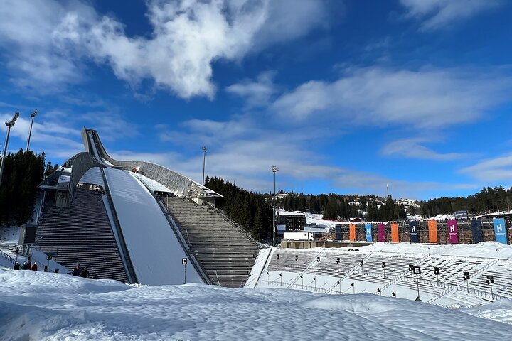 Oslo Combo Tour: Grand City Tour and Oslo Fjord Cruise