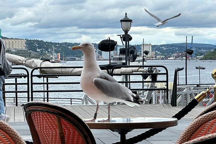 Oslo Combo Tour: Grand City Tour and Oslo Fjord Cruise