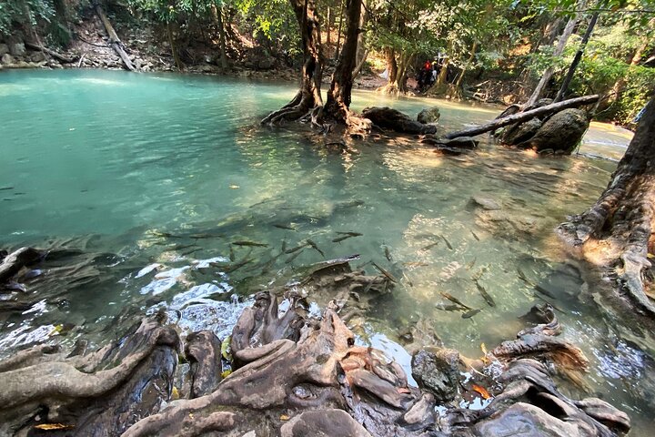 Kanchanaburi Erawan Waterfall and Train Along Death Railway Tour