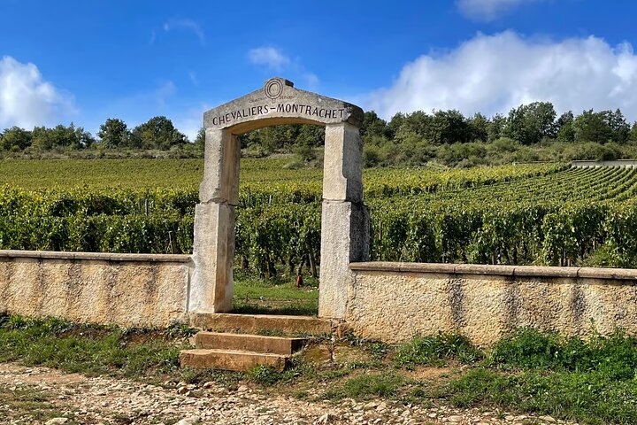 Private day tour in Burgundy : Côte de Beaune & Côte de Nuits