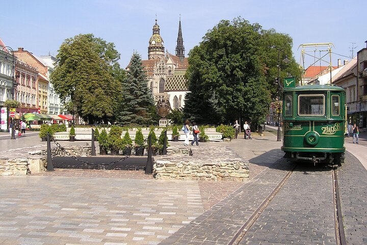 Discover Kosice Walking Tour with Cathedral Stop