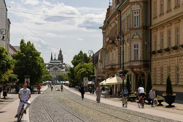 Discover Kosice Walking Tour with Cathedral Stop