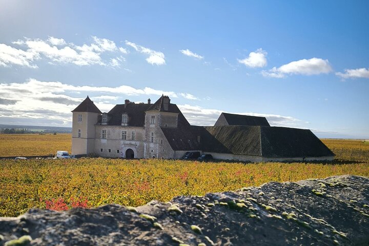 Private day tour in Burgundy : Côte de Beaune & Côte de Nuits