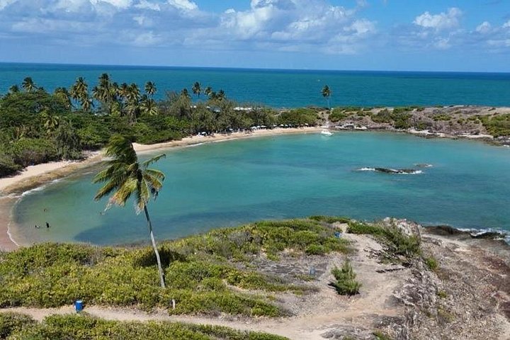 Santo Aleixo Island Tour from Maragogi by Top Tours