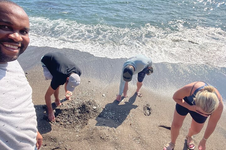Ken's Beach Hopping Excursion
