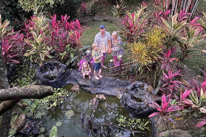 Bocas Del Toro Dolphin Bay, Chocolate Farm and Snorkel Tour
