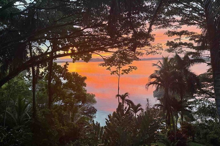 Bocas Del Toro Dolphin Bay, Chocolate Farm and Snorkel Tour
