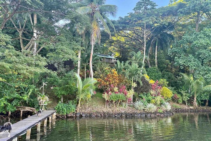 Bocas Del Toro Dolphin Bay, Chocolate Farm and Snorkel Tour