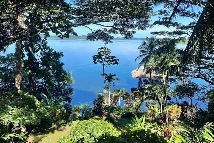 Bocas Del Toro Dolphin Bay, Chocolate Farm and Snorkel Tour