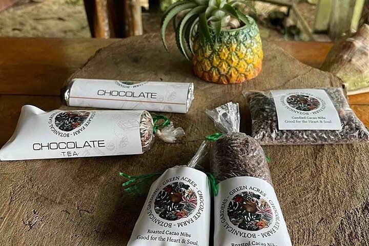 Bocas Del Toro Dolphin Bay, Chocolate Farm and Snorkel Tour