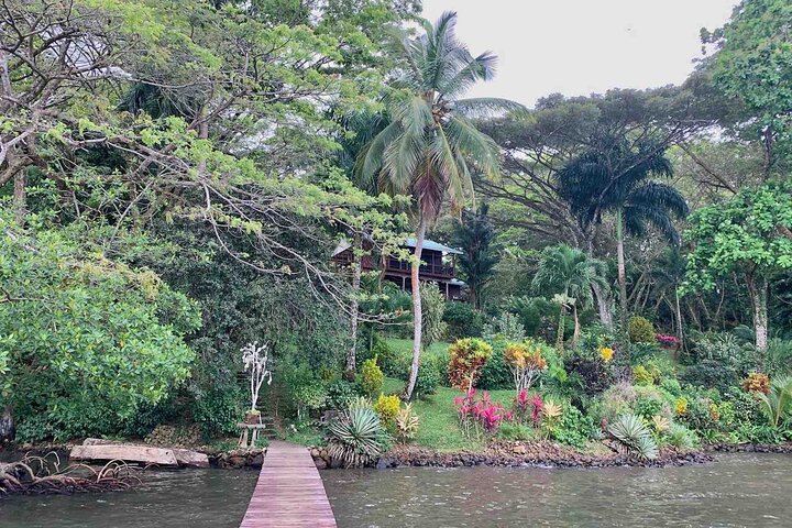 Bocas Del Toro Dolphin Bay, Chocolate Farm and Snorkel Tour
