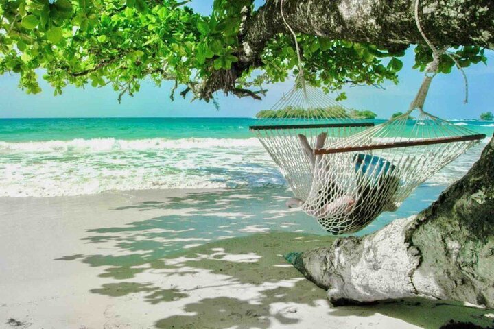 Bocas Del Toro Dolphin Bay, Chocolate Farm and Snorkel Tour