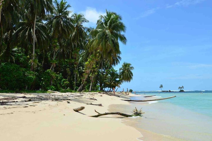 Bocas Del Toro Dolphin Bay, Chocolate Farm and Snorkel Tour