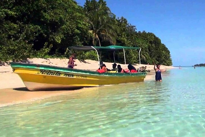 Bocas Del Toro Dolphin Bay, Chocolate Farm and Snorkel Tour