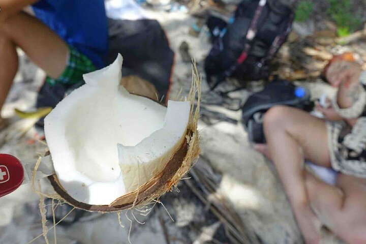 Bocas Del Toro Dolphin Bay, Chocolate Farm and Snorkel Tour