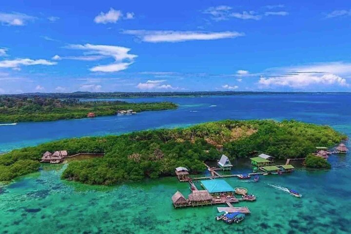 Bocas Del Toro Dolphin Bay, Chocolate Farm and Snorkel Tour
