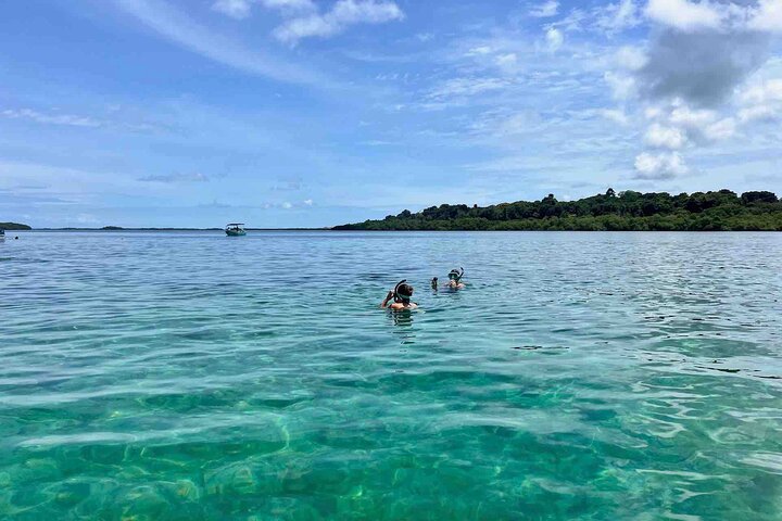 Bocas Del Toro Dolphin Bay, Chocolate Farm and Snorkel Tour