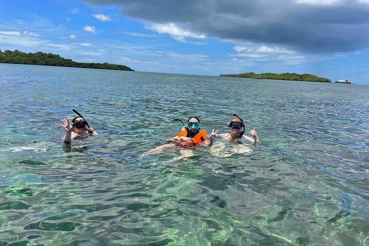 Bocas Del Toro Dolphin Bay, Chocolate Farm and Snorkel Tour
