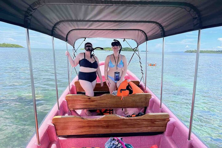Bocas Del Toro Dolphin Bay, Chocolate Farm and Snorkel Tour