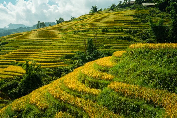 Sapa Private Car Rental–Half & Full Day & English Speaking Driver