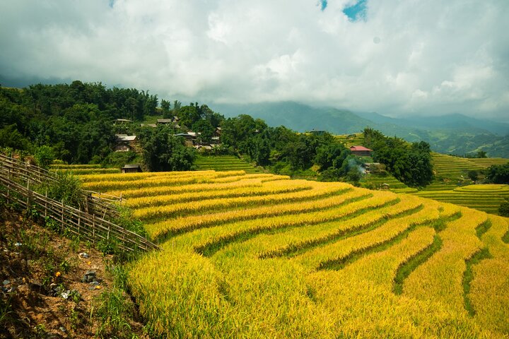 Sapa Private Car Rental–Half & Full Day & English Speaking Driver