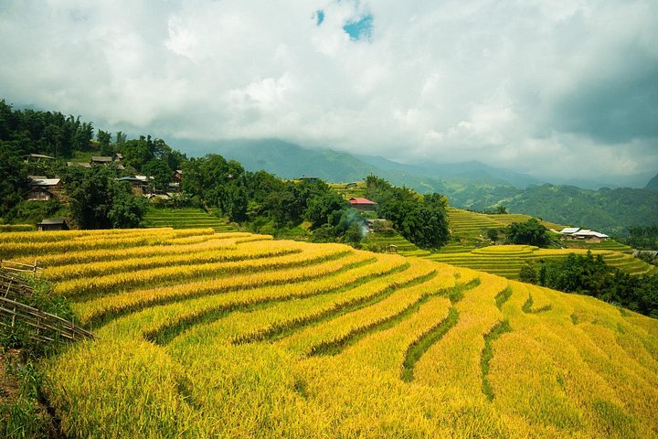 Sapa Private Car Rental–Half & Full Day & English Speaking Driver