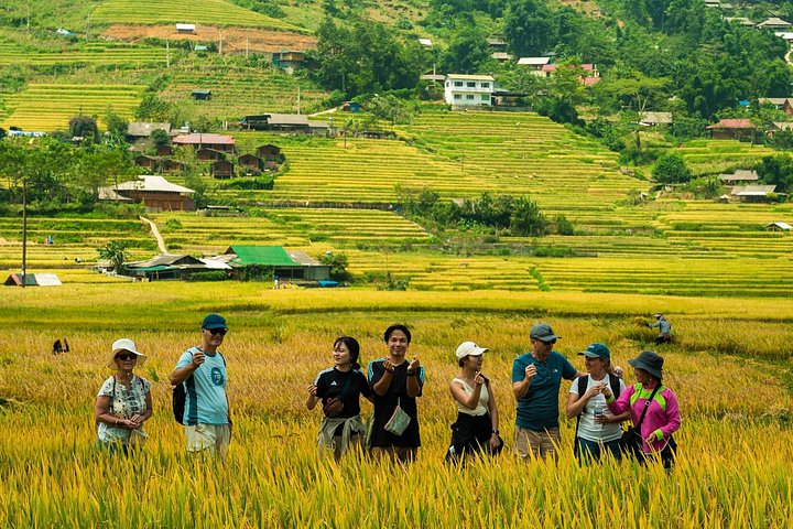 Sapa Private Car Rental–Half & Full Day & English Speaking Driver