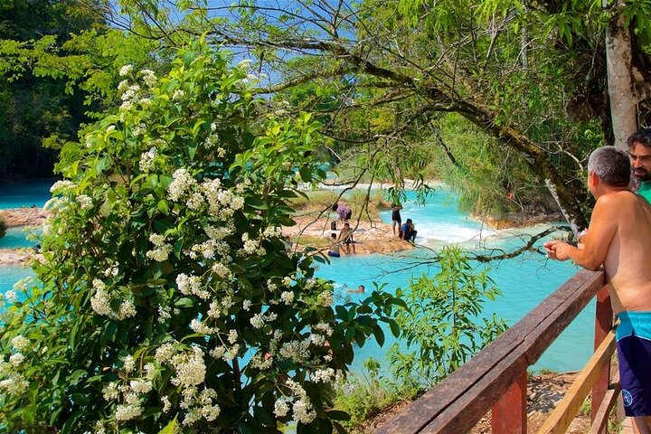 Waterfalls Agua Azul and Misol-ha
